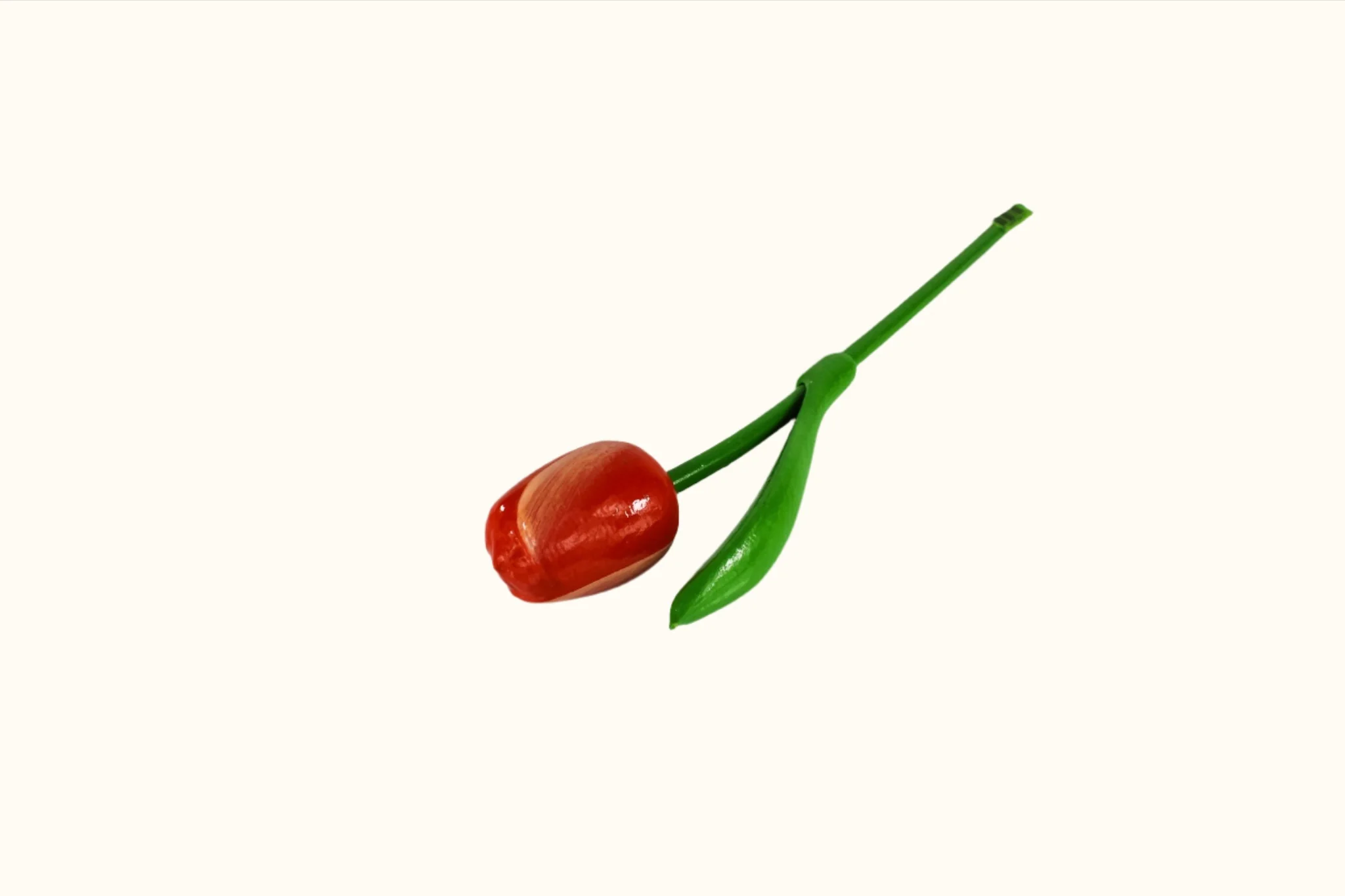 Dutch Groceries Wooden Tulip 20cm Small - Image 11