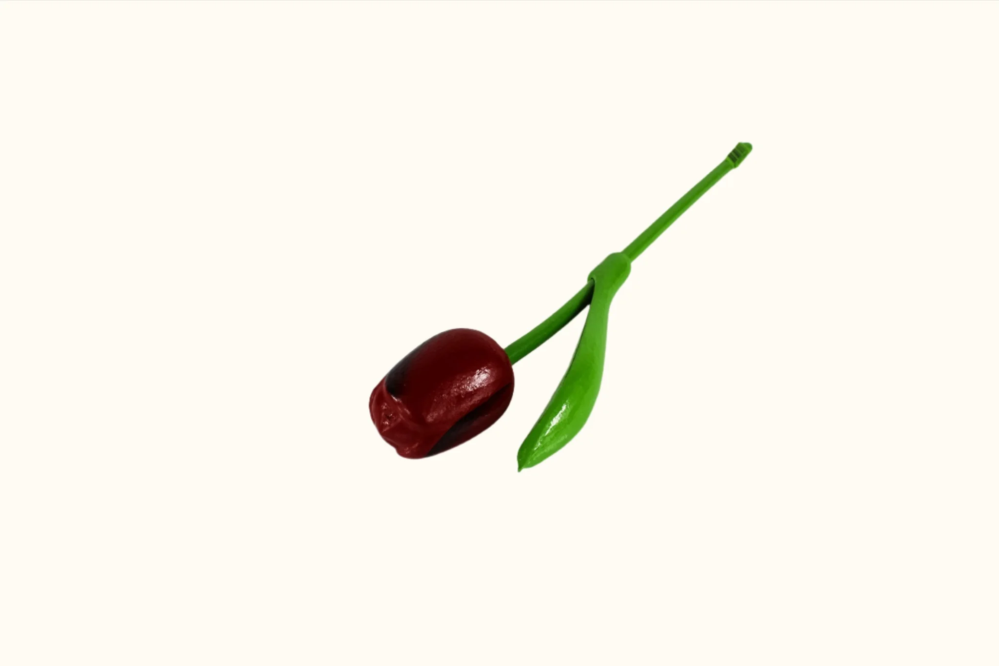 Dutch Groceries Wooden Tulip 20cm Small - Image 8